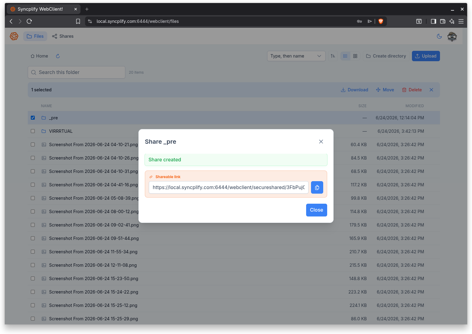 The created share showing the shareable link and a copy button